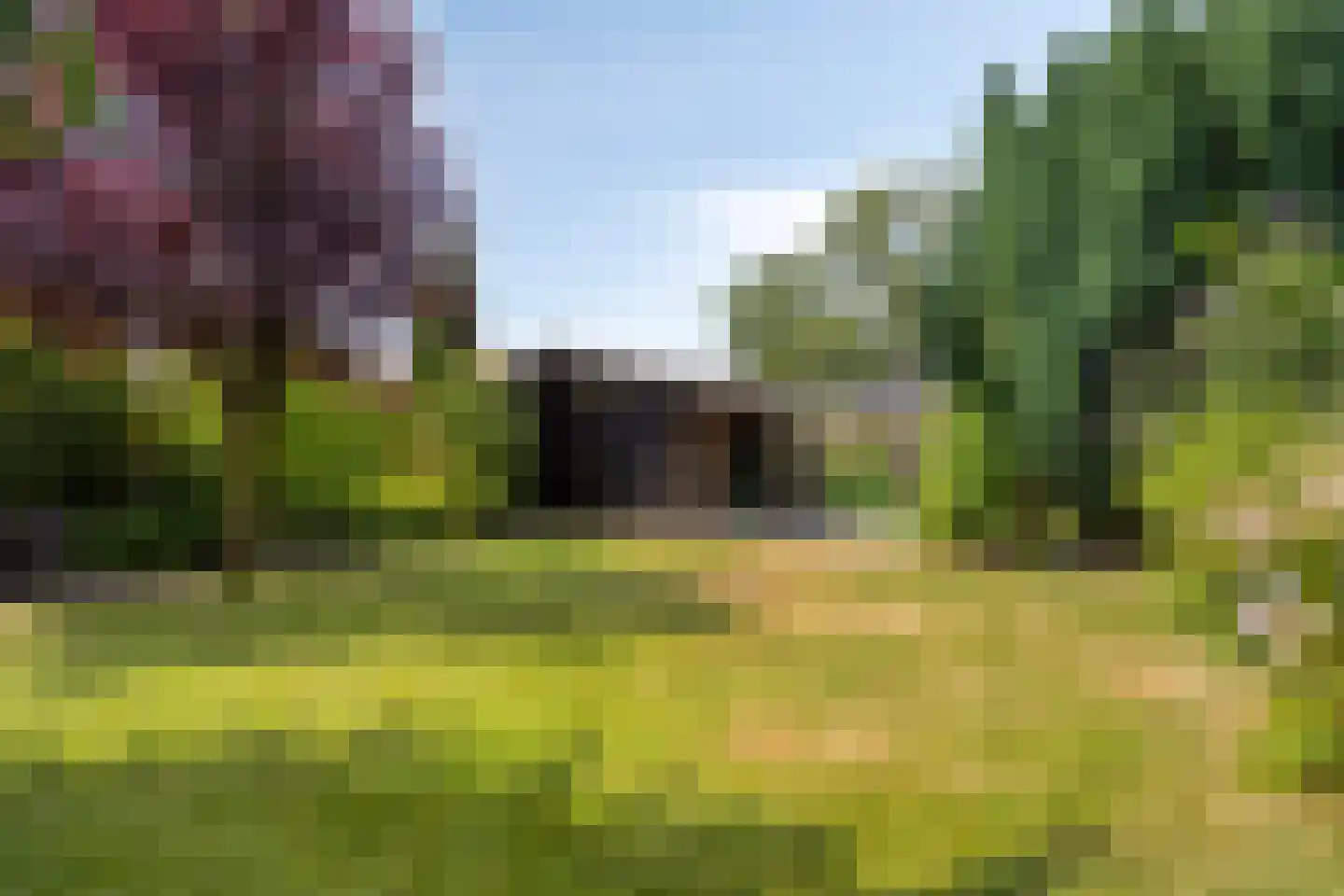 Bisschop van Mierlostraat 3 Mierlo thumbnail 51