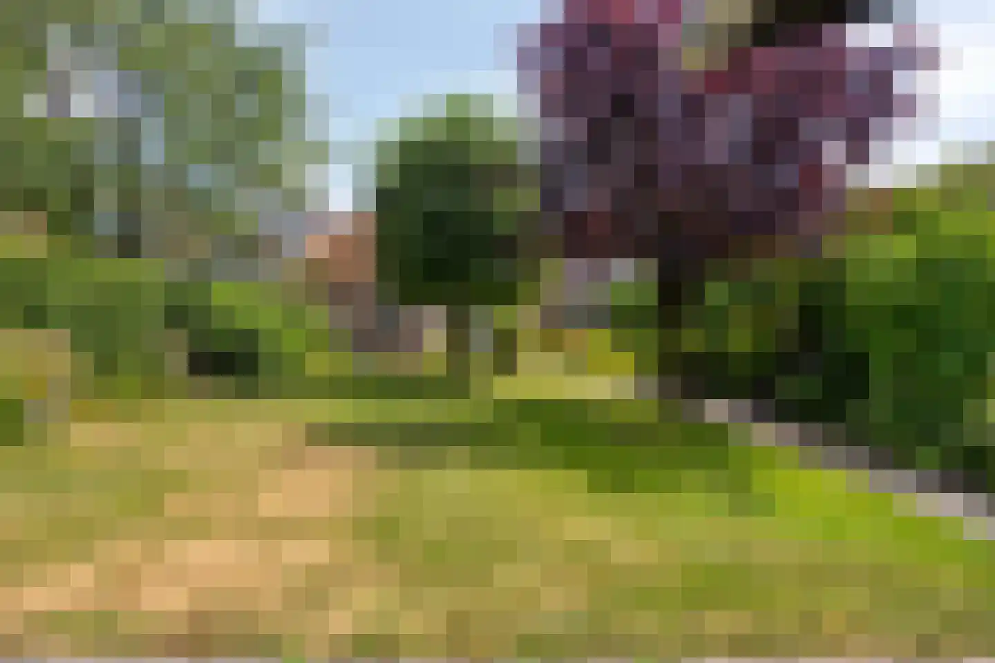 Bisschop van Mierlostraat 3 Mierlo thumbnail 53