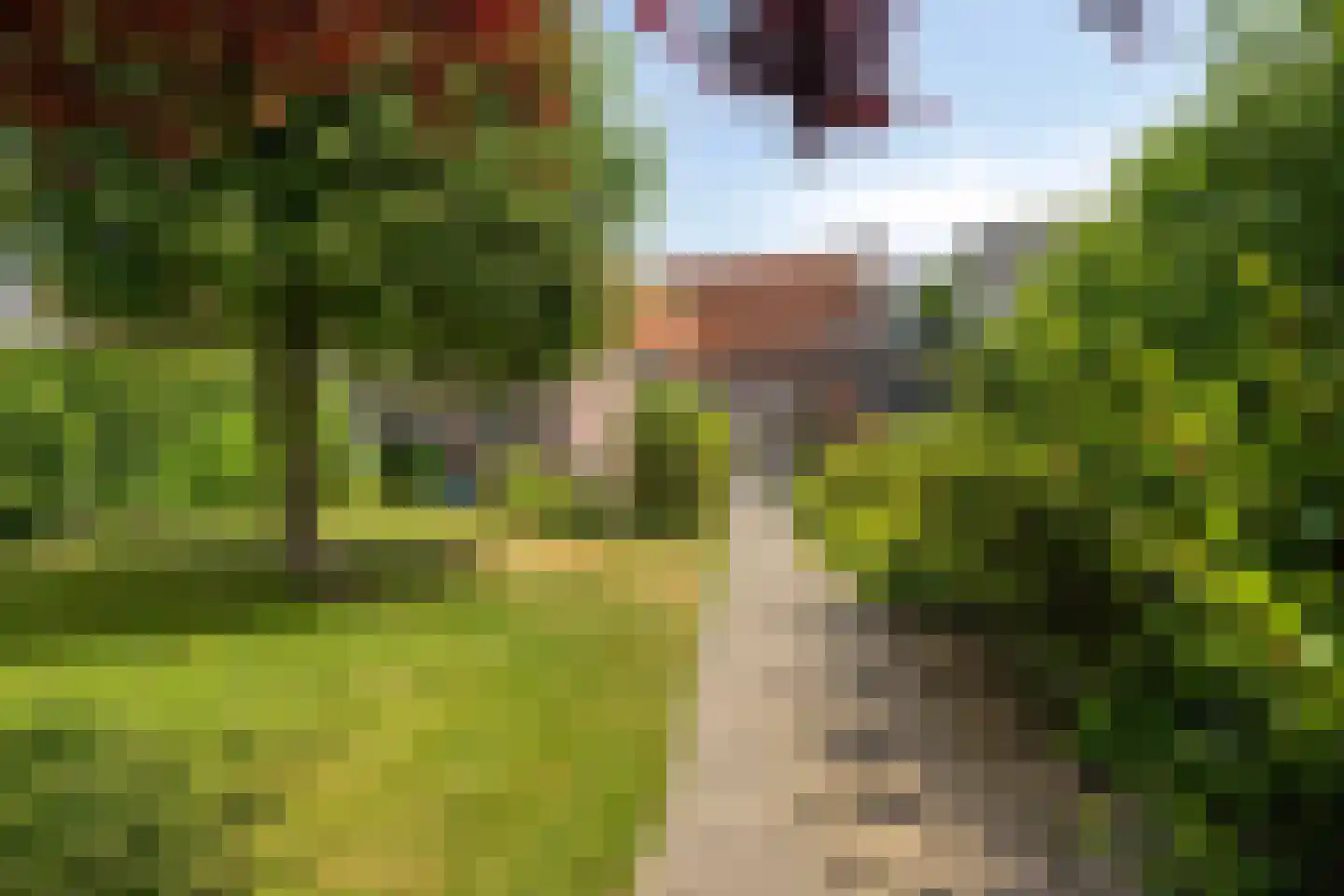 Bisschop van Mierlostraat 3 Mierlo thumbnail 54
