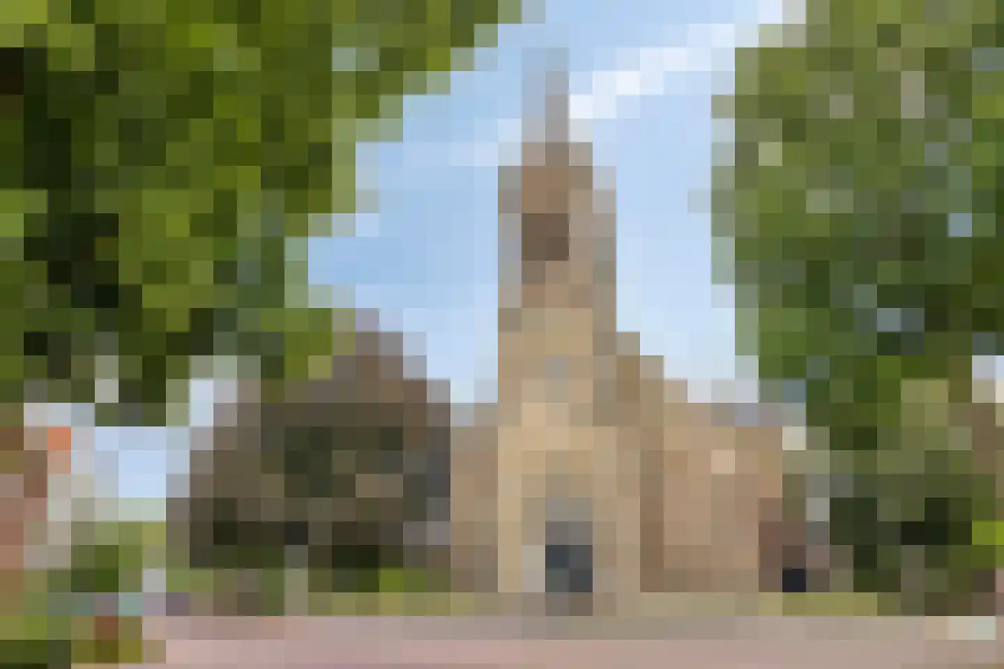 Bisschop van Mierlostraat 3 Mierlo thumbnail 60