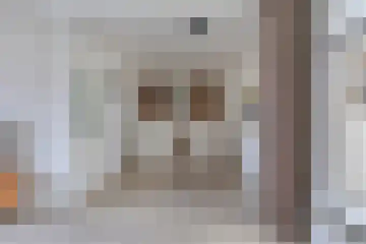Bisschop van Mierlostraat 78 Mierlo thumbnail 13