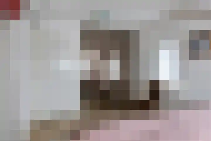 Bisschop van Mierlostraat 78 Mierlo thumbnail 20
