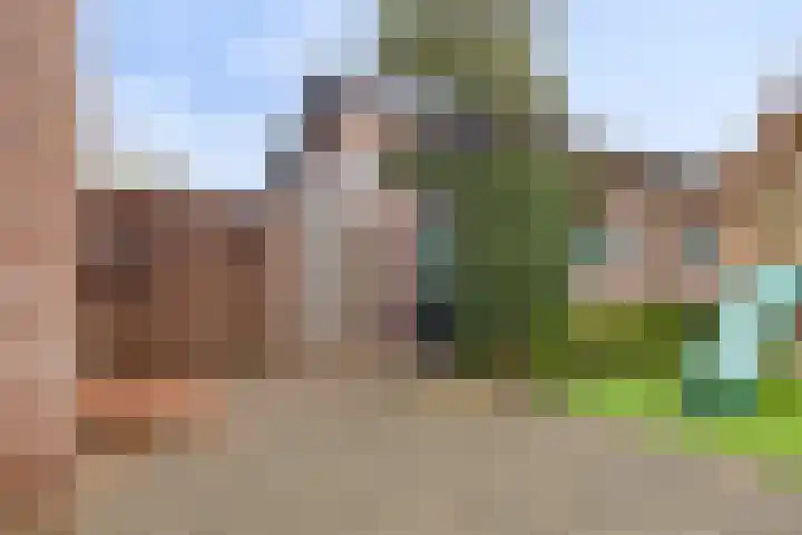 Bisschop van Mierlostraat 78 Mierlo thumbnail 31