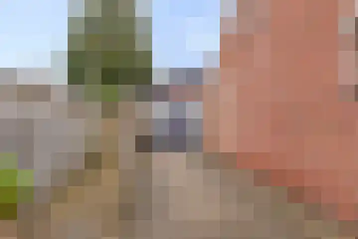 Bisschop van Mierlostraat 78 Mierlo thumbnail 39