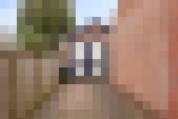 Bisschop van Mierlostraat 78 Mierlo thumbnail 40