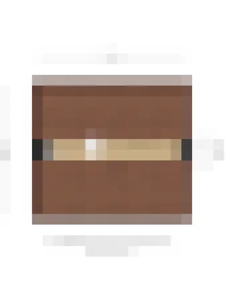 Bisschop van Mierlostraat 78 Mierlo thumbnail 47