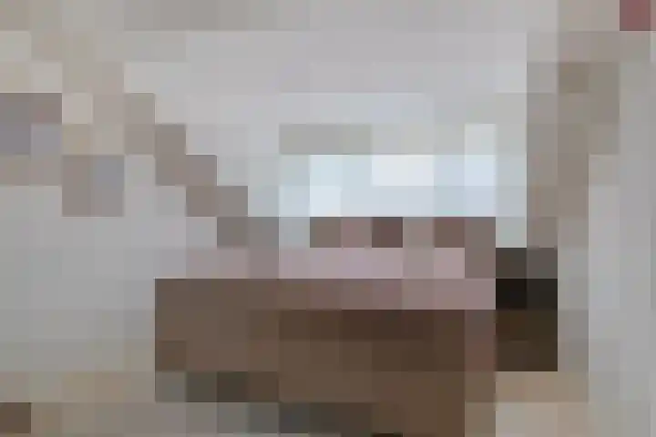Bisschop van Mierlostraat 78 Mierlo thumbnail 5