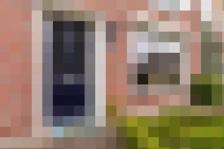 Bisschop van Mierlostraat 78 Mierlo thumbnail 7
