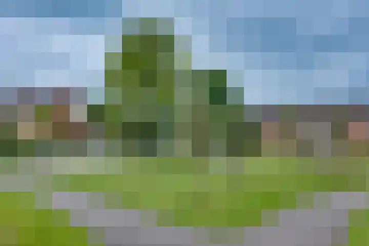 Bisschop van Munsterstraat 34 Borculo thumbnail 33