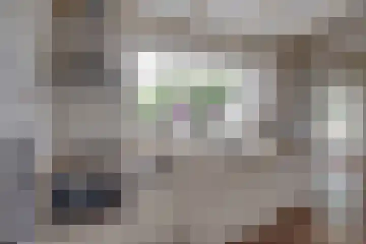 Bisschop van Munsterstraat 34 Borculo thumbnail 4