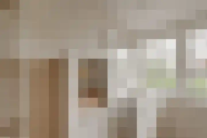 Bisschop van Munsterstraat 34 Borculo thumbnail 5
