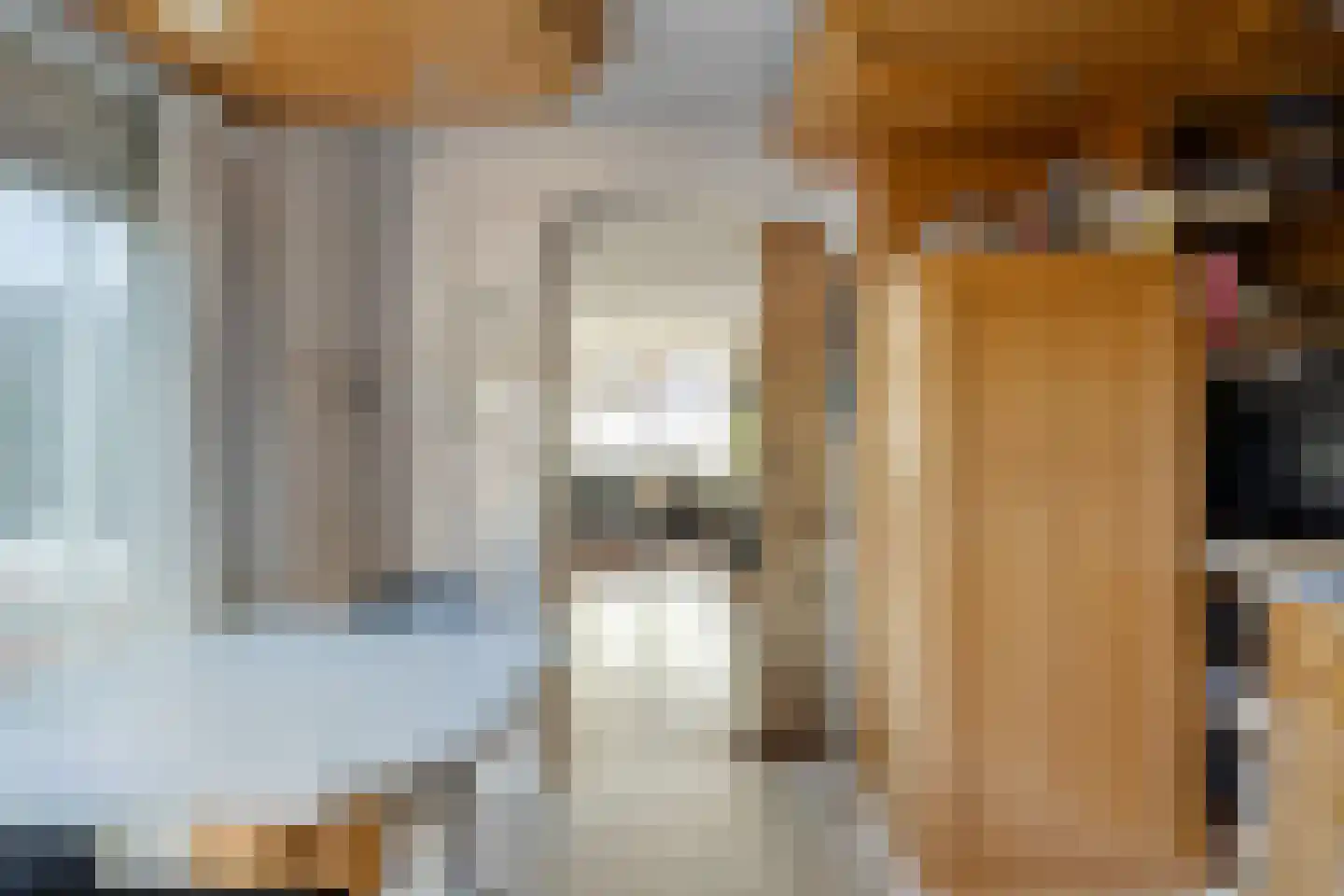 Bisschop van Zoesstraat 25 Tilburg thumbnail 11
