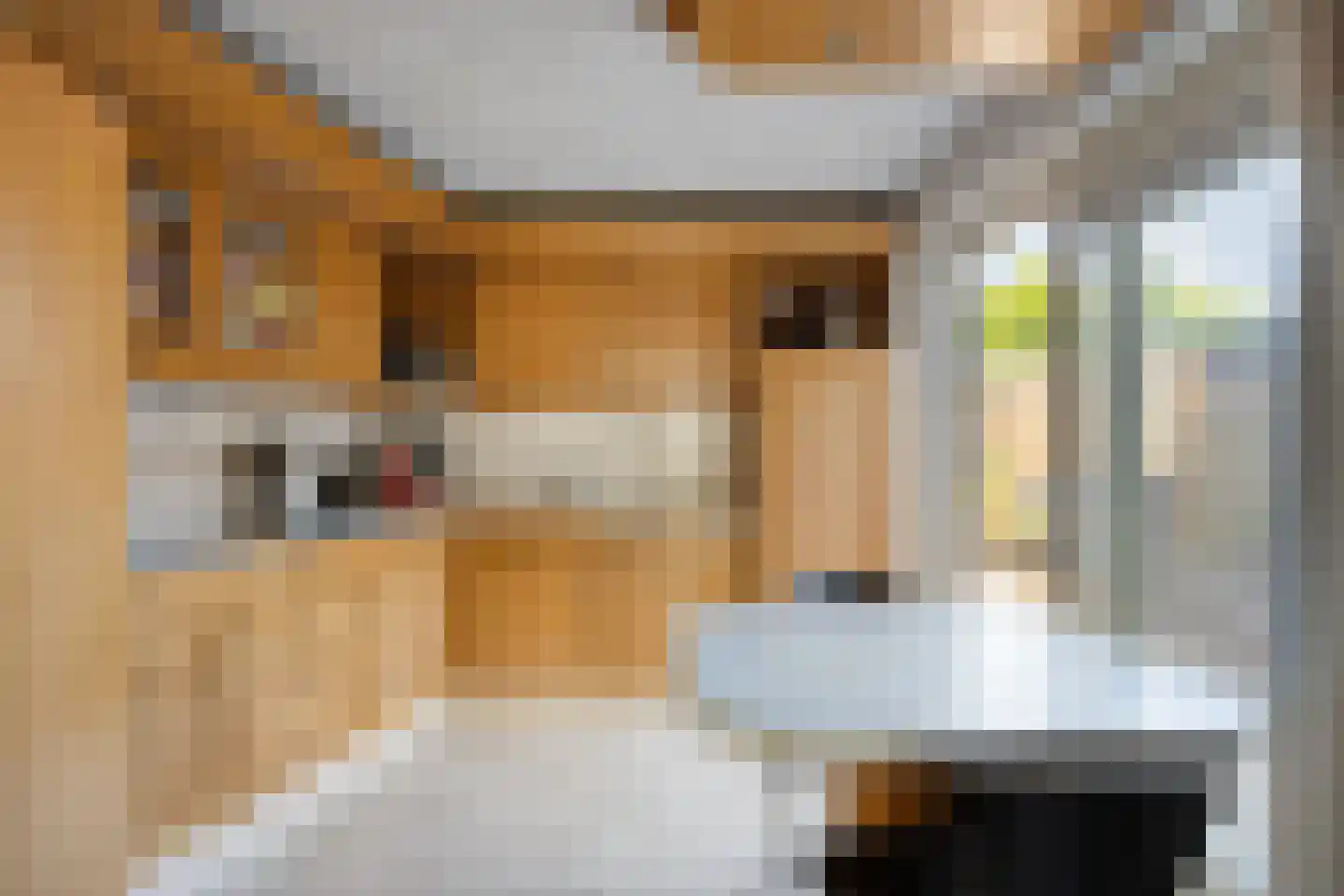 Bisschop van Zoesstraat 25 Tilburg thumbnail 9