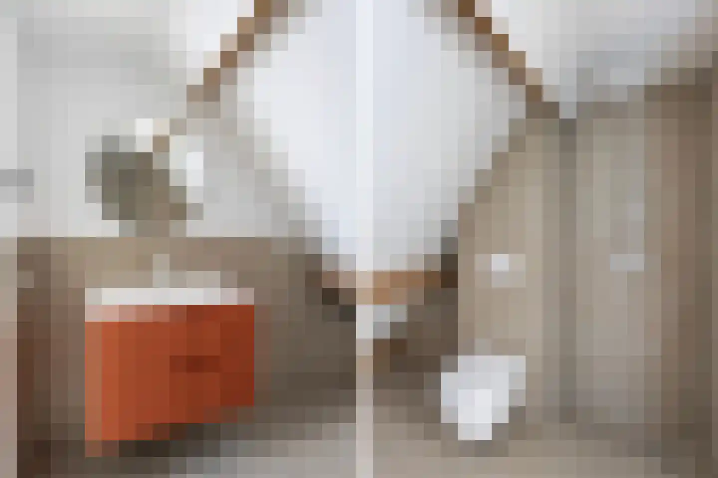 Bisschop Willebrandlaan 1 B Zwolle thumbnail 21