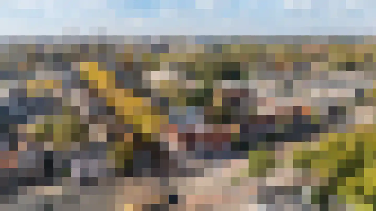 Bisschop Willebrandlaan 1 B Zwolle thumbnail 27
