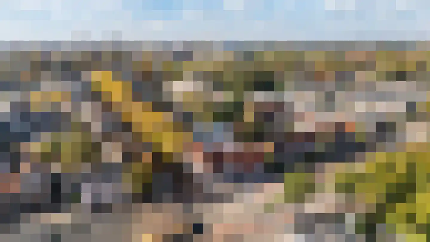 Bisschop Willebrandlaan 1 C Zwolle thumbnail 22