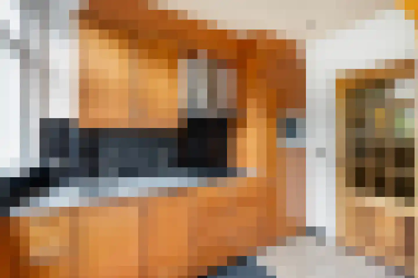 Bisschop Willebrandlaan 11 Zwolle thumbnail 14