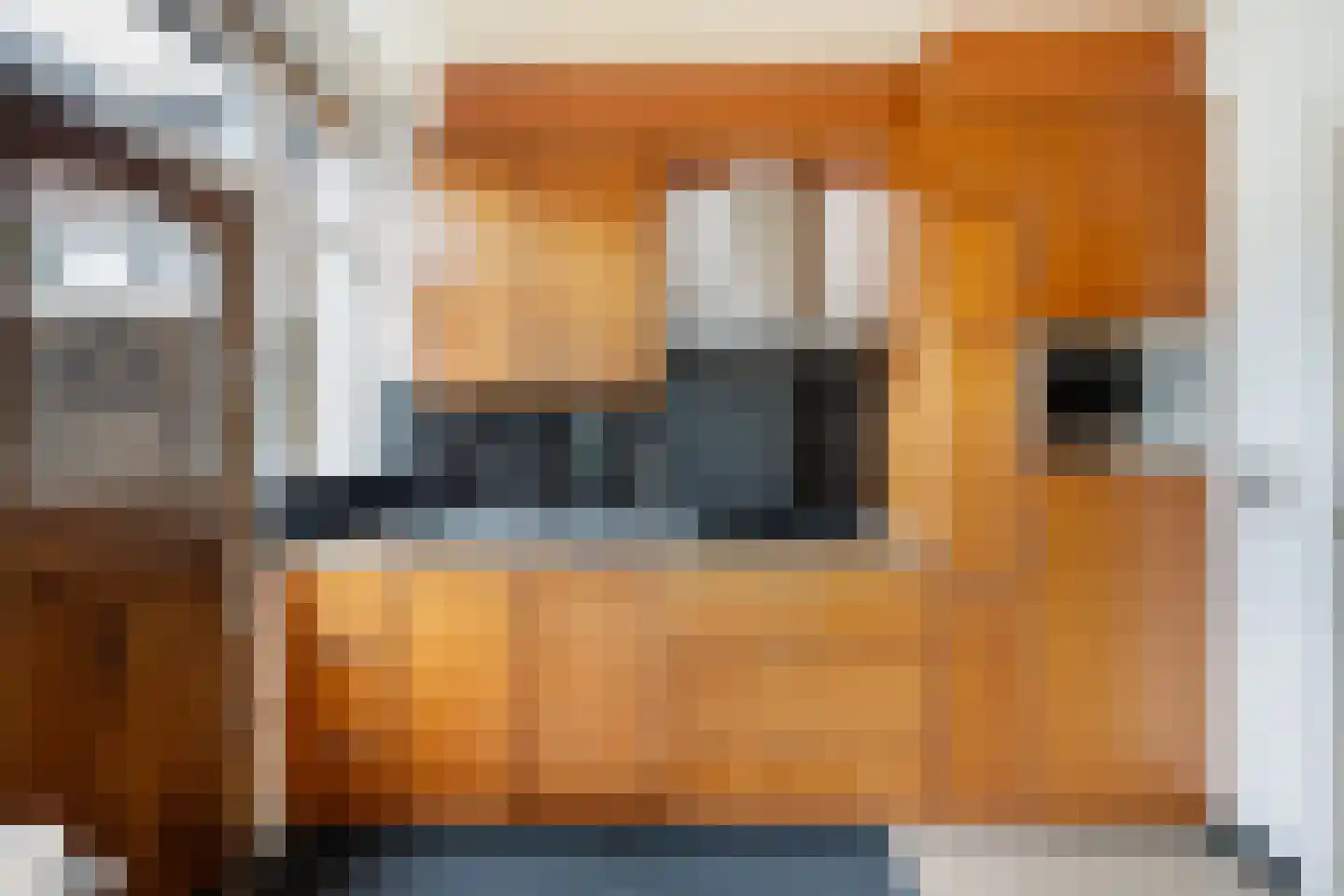 Bisschop Willebrandlaan 11 Zwolle thumbnail 15