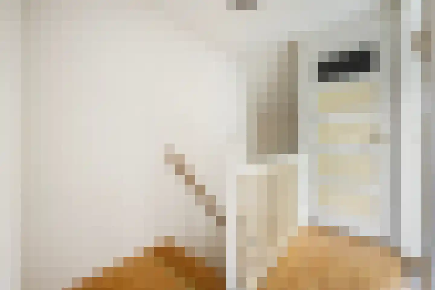 Bisschop Willebrandlaan 11 Zwolle thumbnail 20