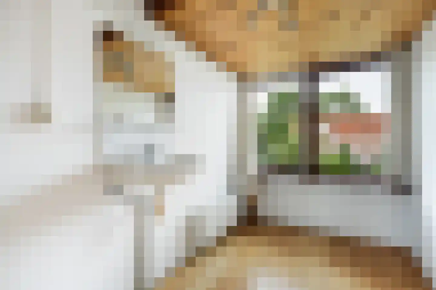 Bisschop Willebrandlaan 11 Zwolle thumbnail 24