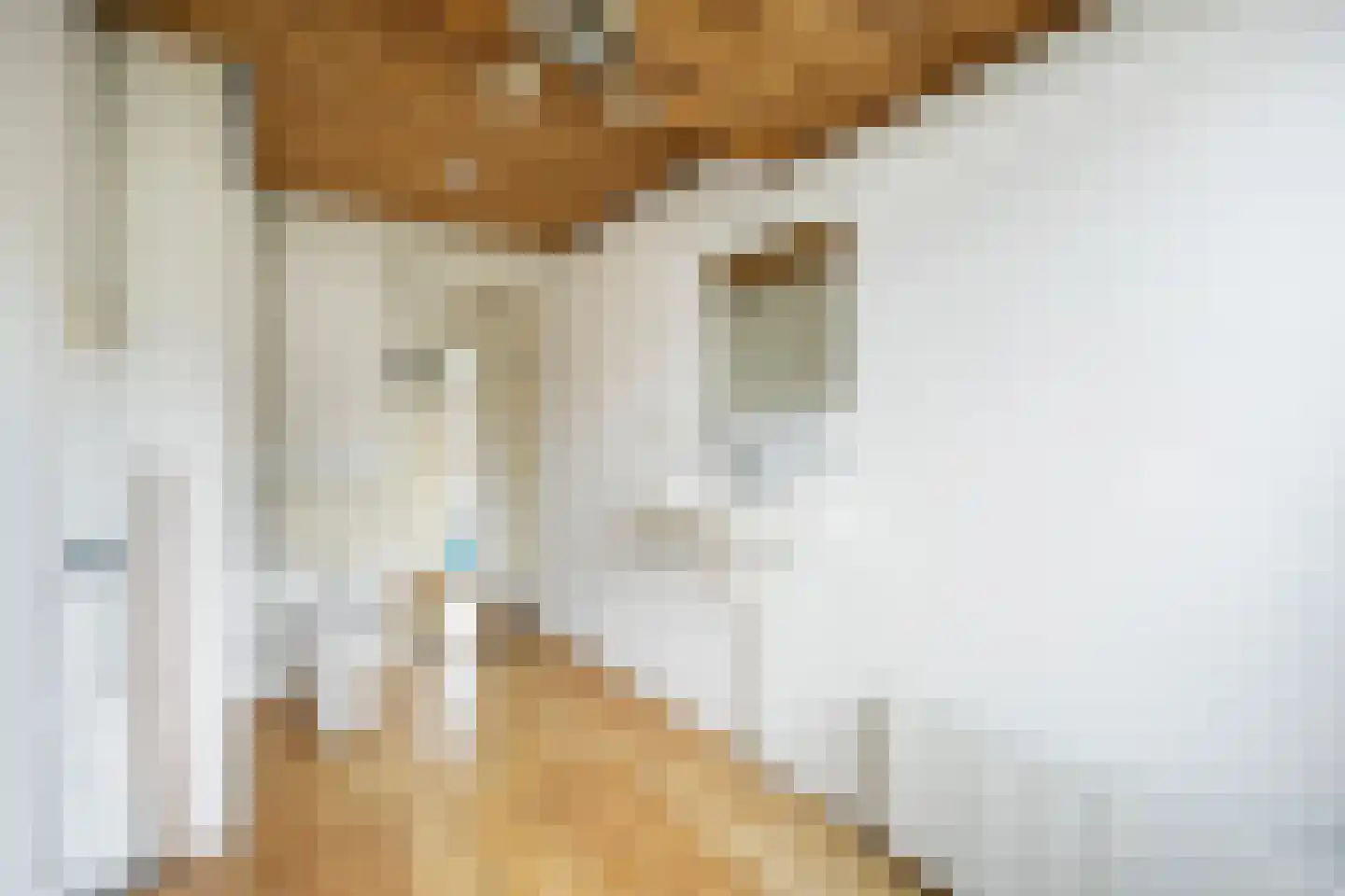 Bisschop Willebrandlaan 11 Zwolle thumbnail 25