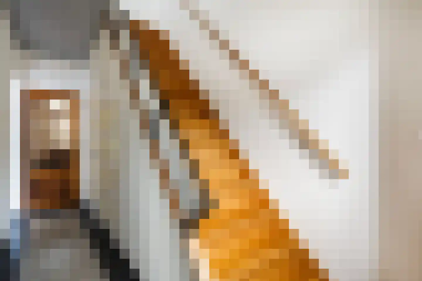 Bisschop Willebrandlaan 11 Zwolle thumbnail 5
