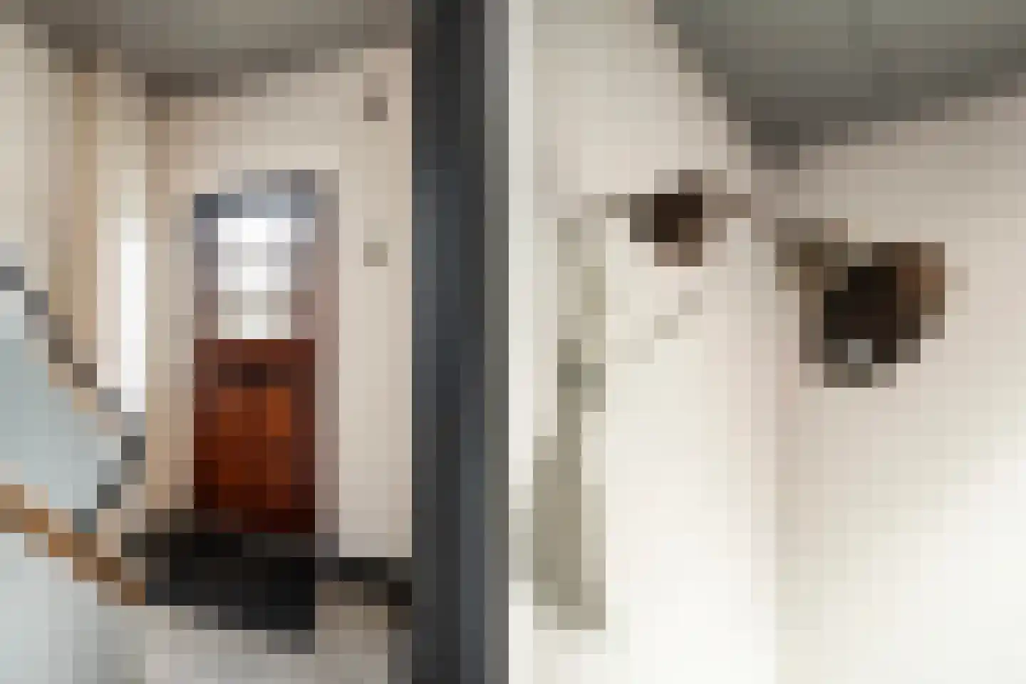 Bisschop Willebrandlaan 11 Zwolle thumbnail 6