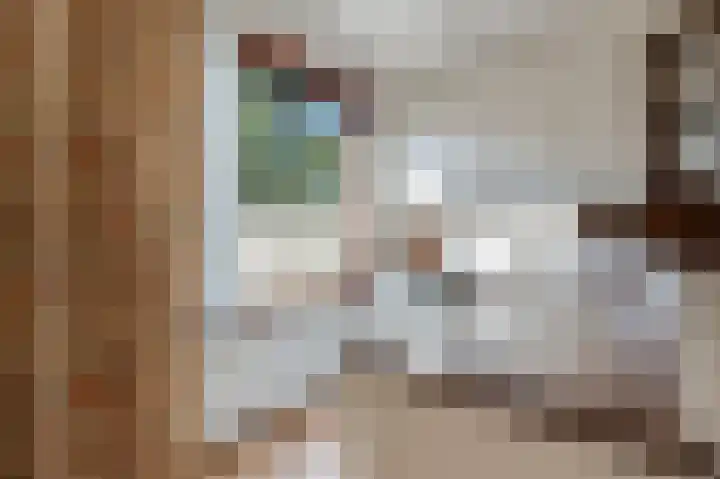 Bisschop Willebrandlaan 83 Zwolle thumbnail 14