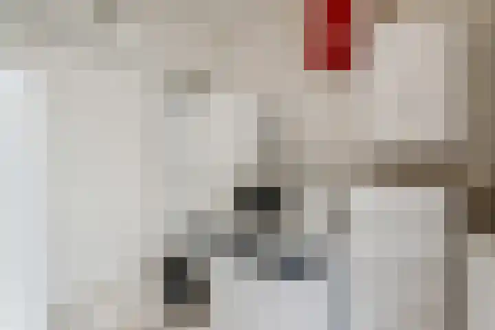 Bisschop Willebrandlaan 83 Zwolle thumbnail 18