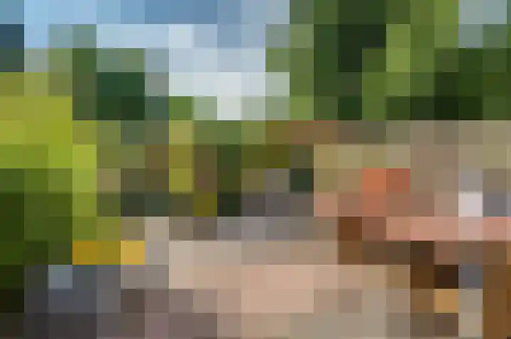 Bisschop Willebrandlaan 83 Zwolle thumbnail 21