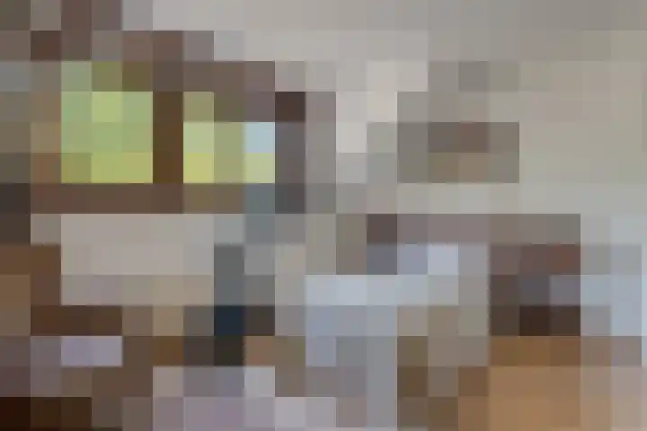Bisschop Willebrandlaan 83 Zwolle thumbnail 28