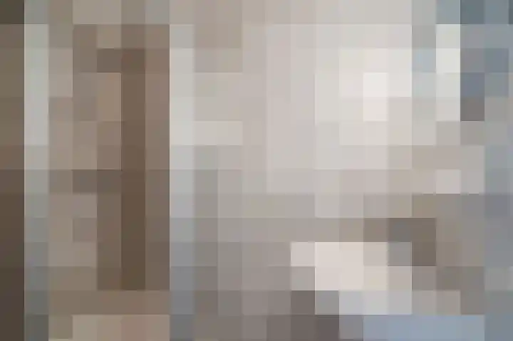 Bisschop Willebrandlaan 83 Zwolle thumbnail 32