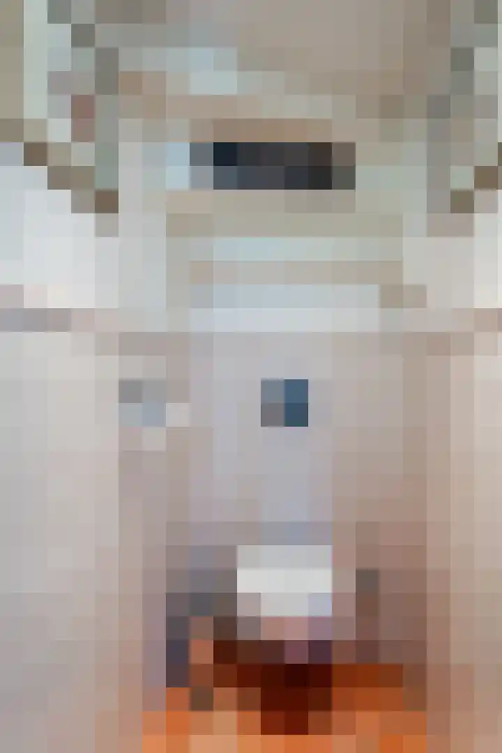 Bisschop Willebrandlaan 83 Zwolle thumbnail 8