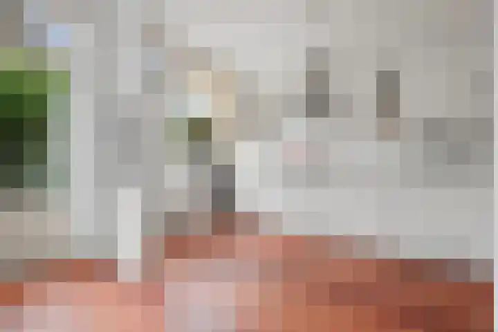 Bisschop Zwijsenplein 1 Vught thumbnail 13
