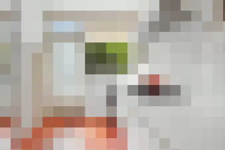 Bisschop Zwijsenplein 1 Vught thumbnail 15
