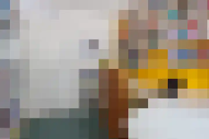 Bisschop Zwijsenplein 1 Vught thumbnail 24