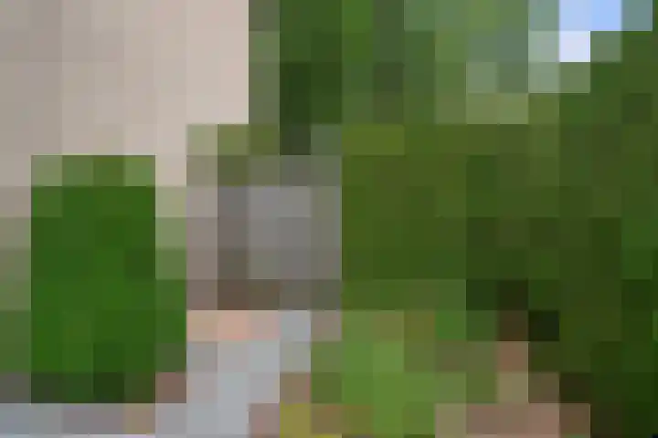 Bisschop Zwijsenplein 1 Vught thumbnail 34