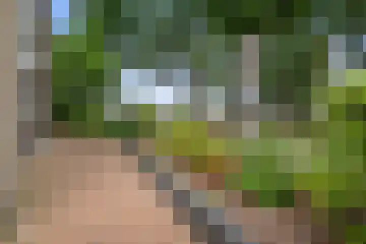 Bisschop Zwijsenplein 1 Vught thumbnail 4