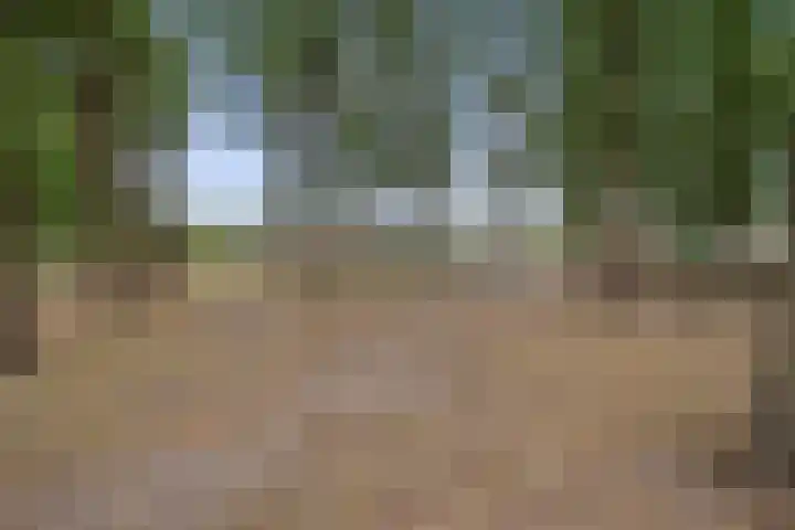 Bisschop Zwijsenplein 1 Vught thumbnail 39
