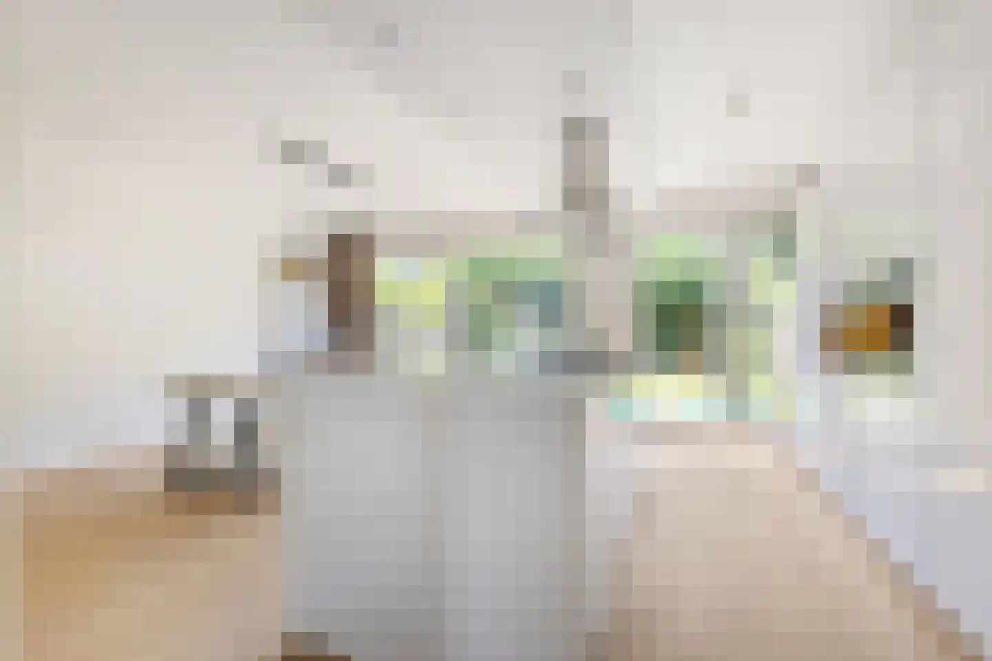 Bisschop Zwijsenplein 18 Vught thumbnail 17
