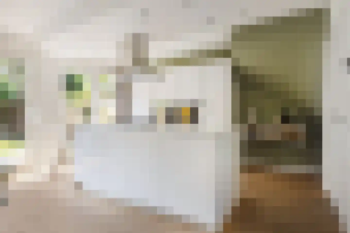 Bisschop Zwijsenplein 18 Vught thumbnail 18
