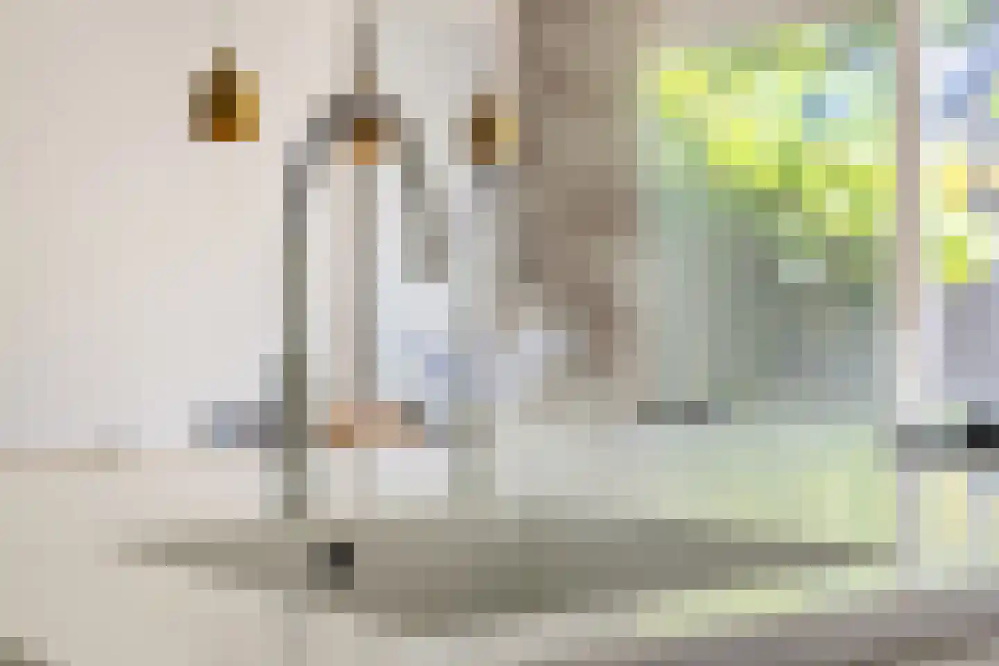 Bisschop Zwijsenplein 18 Vught thumbnail 20