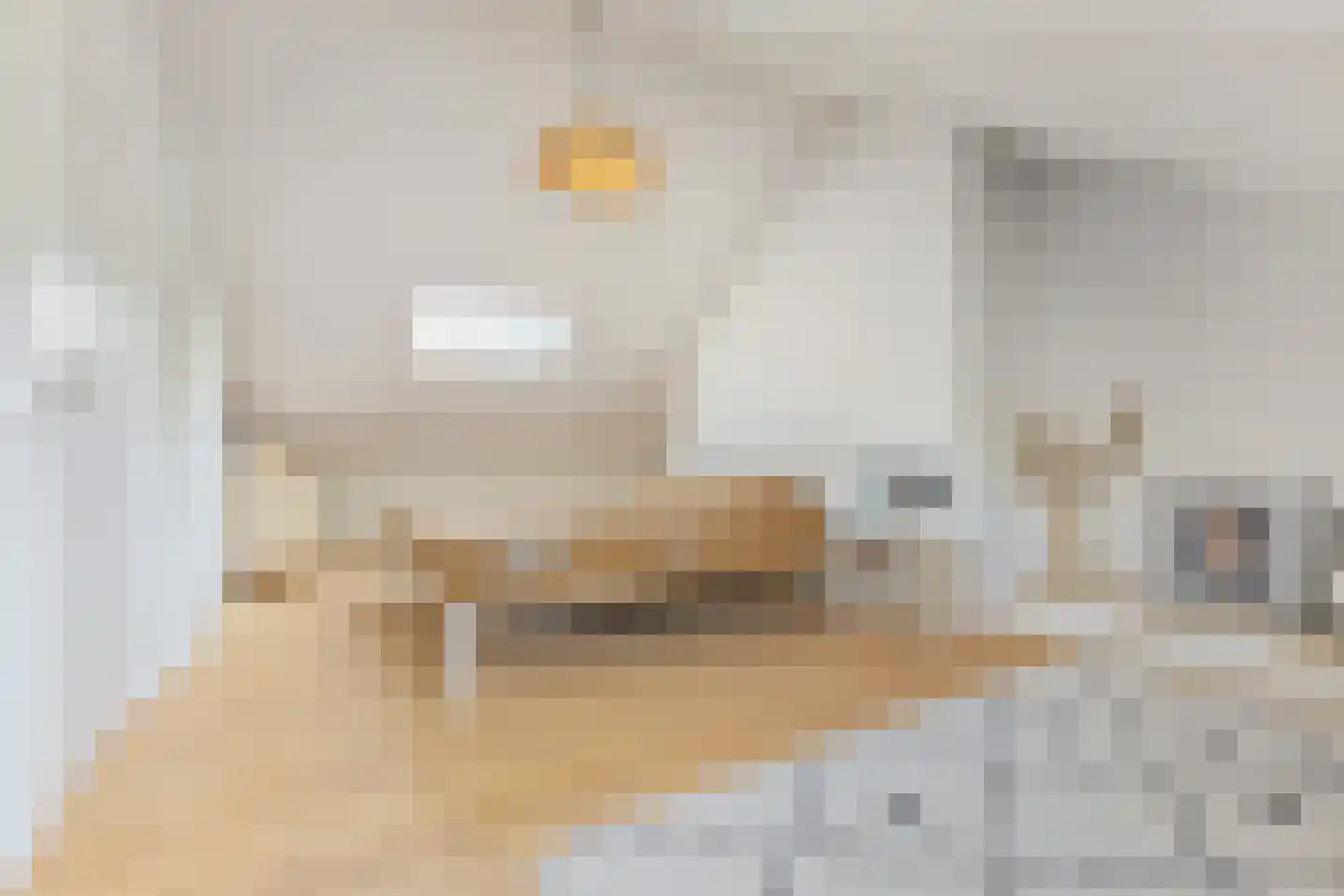 Bisschop Zwijsenplein 18 Vught thumbnail 34