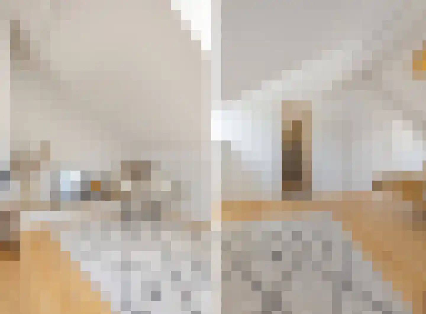 Bisschop Zwijsenplein 18 Vught thumbnail 36