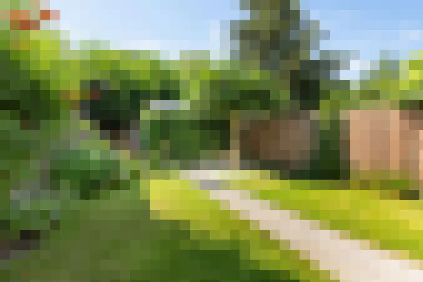 Bisschop Zwijsenplein 18 Vught thumbnail 38