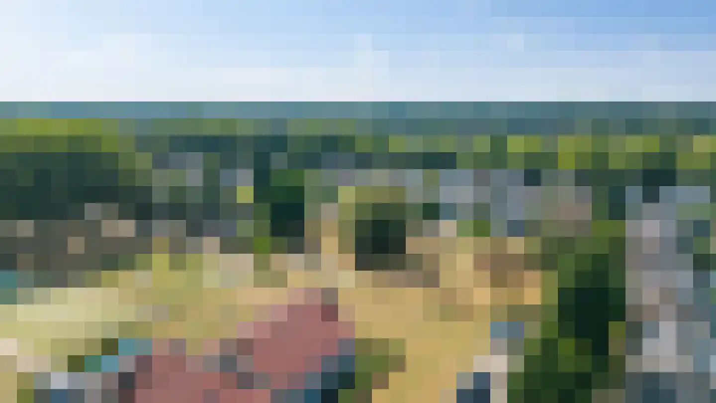 Bisschop Zwijsenplein 18 Vught thumbnail 9
