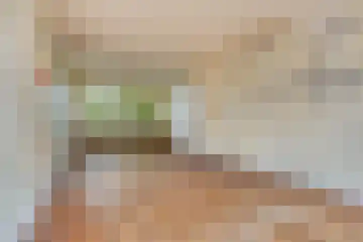 Bisschop Zwijsenplein 3 Vught thumbnail 10