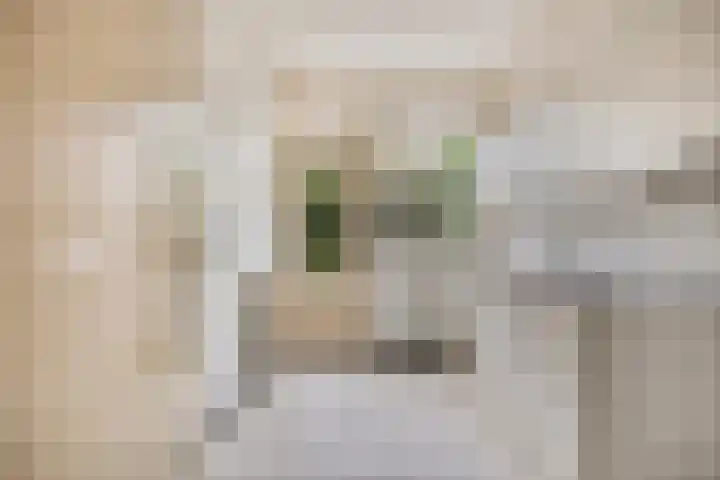 Bisschop Zwijsenplein 3 Vught thumbnail 11