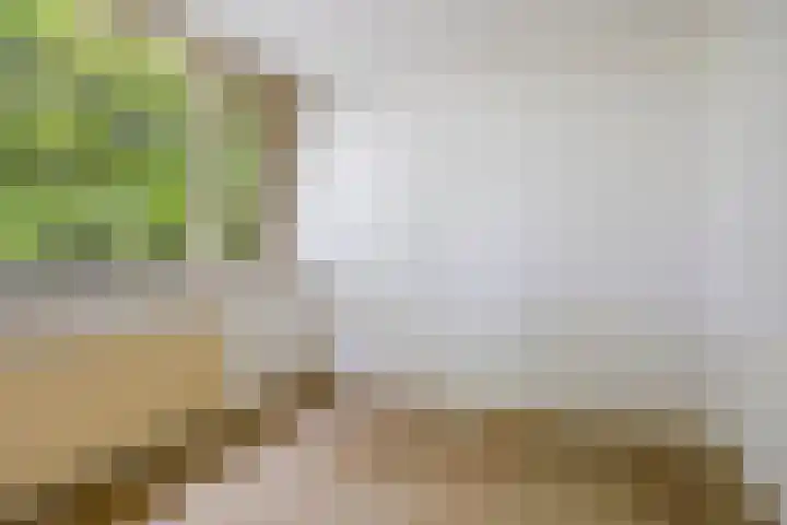 Bisschop Zwijsenplein 3 Vught thumbnail 20