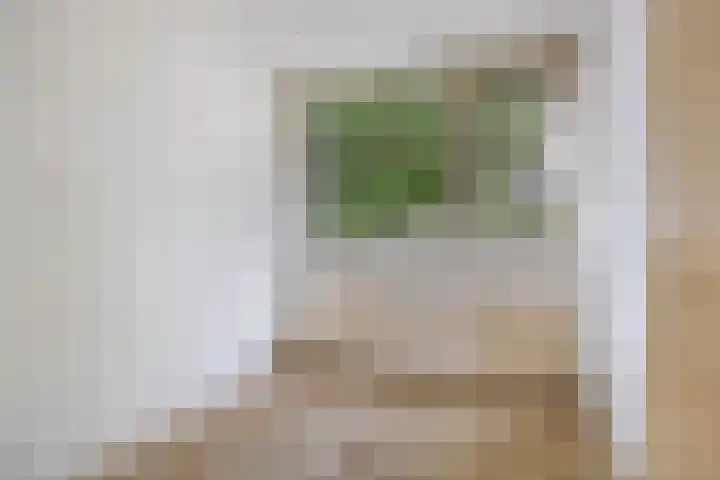 Bisschop Zwijsenplein 3 Vught thumbnail 22
